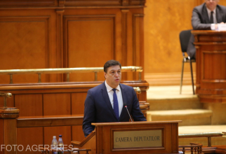 Serban Nicolae in Parlament