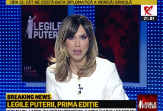 Denise Rifai Legile Puterii