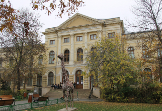 
Muzeul Național de Istorie Naturală Grigore Antipa Foto: Crișan Andreescu