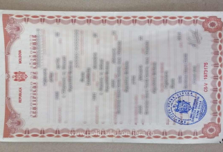 Căsătoriile false pentru obținerea cetățeniei. Doi bărbați erau căsătoriți cu aceeasi româncă / sursa foto: Politia de frontiera