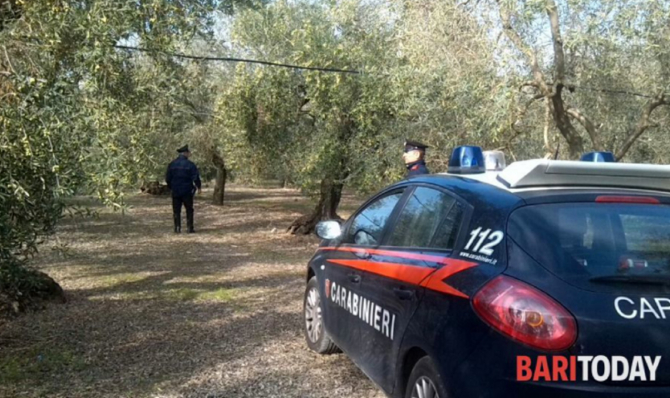 Italia. Român, ucis brutal sub ochii soției: Trupul său neînsuflețit, abandonat într-o magazie