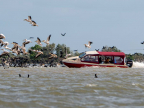 Românul care a intrat cu barca într-o colonie de pelicani, în Delta Dunării, s-a ales cu dosar penal sursa facebook/marian strinoiu 