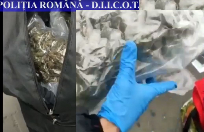 Român, prins cu 6 kg de cannabis. Drogurile fusese trimise din Spania, print-o societate de transport internațional 