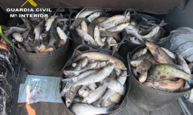Spania. Doi pescari români au rămas fără peștele prins ilegal. Garda Civilă a confiscat 125 de kilograme de biban