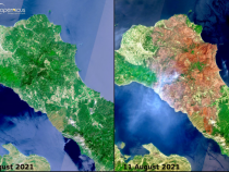 Insula Evia, înainte si dupa incendiile devastatoare. Imagini din satelit