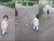 Ultimele imagini în viață cu gemenii din Ploiești. Micuții erau filmați în parc de către Andreea - VIDEO