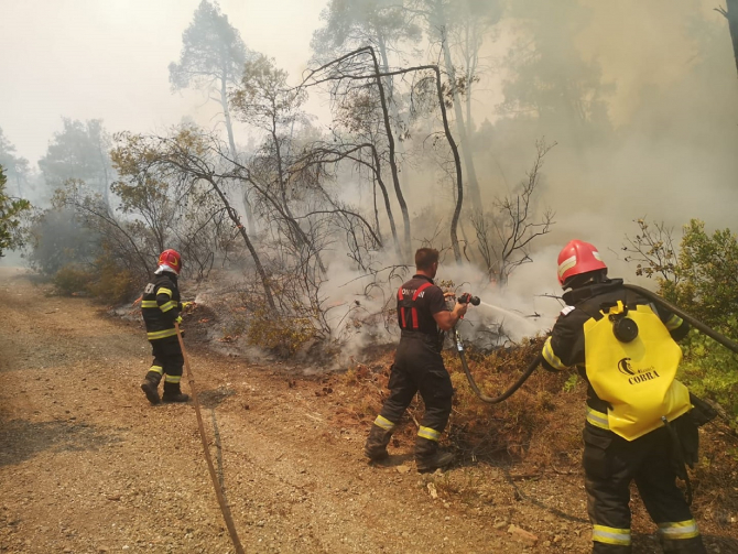 Pompierii români din Grecia, în mijlocului unui scandal uriaș generat de un fake news