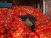 Un șofer român de microbuz a ascuns 800 de kilograme de tutun într-un transport de ceapă din Bulgaria 