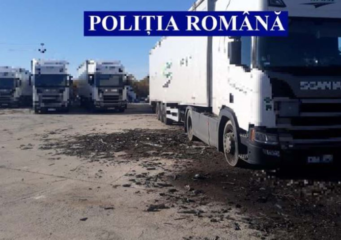 Cinci tiruri pline cu gunoi, adus ilegal, din Italia au ajuns în România. Polițiștii au întocmit dosar penal 