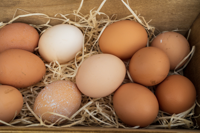 Alertă alimentară: Au fost descoperite sute de mii de ouă cu origine falsificată 