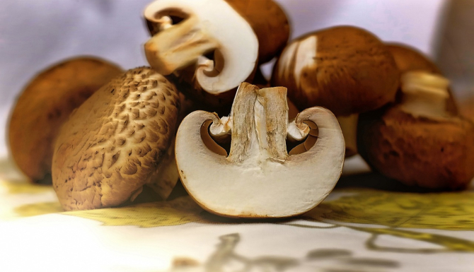 3 metode de conservare a ciupercilor la îndemâna oricui. Așa le ai proaspete tot anul