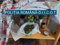 DIICOT descoperă un grup online cu peste 4.000 de membri, implicat în vânzarea de droguri. Sunt inclusiv minori printre clienți / Foto: Poliția Română