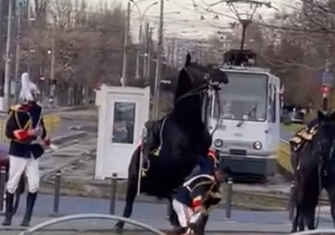 Jandarmul care a căzut de pe cal la parada de 1 Decembrie era beat