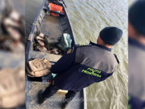 Bulgar, prins în apele teritoriale românești ale Dunării. Bărbatul a fost acuzat de braconaj, iar barca i-a fost confiscată