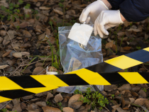 Italia: Rămășițele unei femei, au fost găsite într-un parc. Decesul ar fi avut loc în urmă cu aproximativ un an