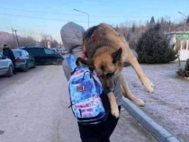 O ucraineancă şi-a cărat 17 kilometri câinele pe umăr, până la graniţă Nu l-am putut abandona