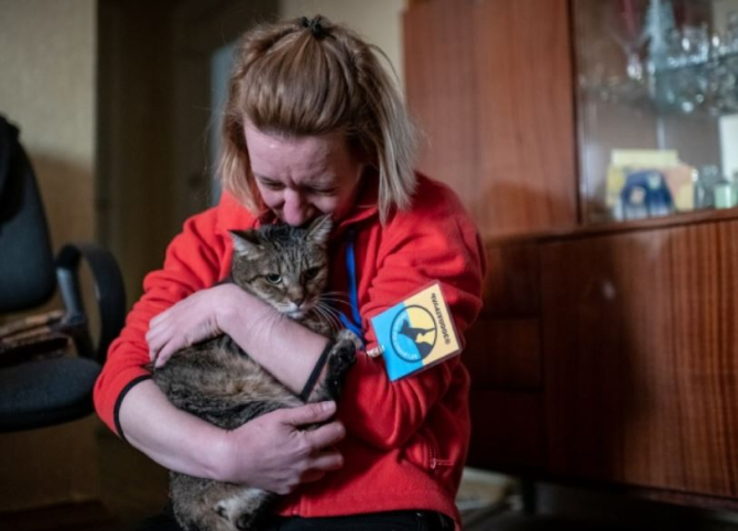 Animalele de companie, abandonate în Kiev, salvate de voluntari de la moarte  Primim câte 800 de solicitări pe zi