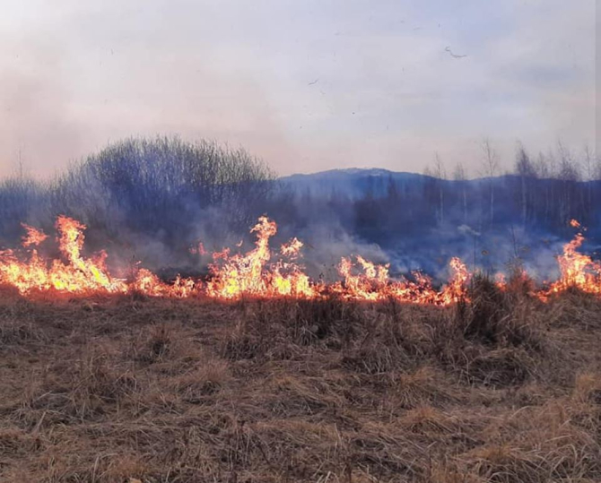Român, găsit carbonizat, în urma unui incendiu de vegetație