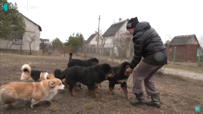 O femeie a salvat 16 câini din districtul Bucha. Ucraineanca s-a mutat în regiunea Rivne împreună cu patrupedele
