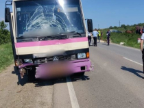 Accident grav între un autocar cu ucraineni și o căruță, în județul Suceava. Căruțașul și soția lui, grav răniți