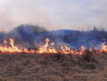 Incendiu devastator - peste 20 de hectare de grâu, transformate în scurm în Vrancea. Foto: ILUSTRATIV 