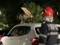 Urgia a lovit România. Copaci căzuți pe mașini, furtuni extreme. Foto.