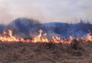 Incendiu devastator - peste 20 de hectare de grâu, transformate în scurm în Vrancea. Foto: ILUSTRATIV 