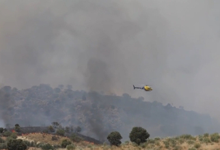 Pompierii se luptă cu incendiile din Spania: 11 sate au fost evacuate din cauza temperaturilor caniculare în Europa