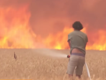 Cum a reușit un fotograf să își ferească ferma de incendiile puternice provocate de căldura din Portugalia / Foto: Captură video youtube