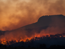 Portugalia declară stare de contingenţă, valabilă de luni până vineri. Autoritățile se luptă să aducă sub control mai multe incendii forestiere  / Foto: Unsplash