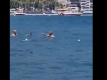 Țipar confundat cu un rechin, alungat cu mopul. Peștelea creat panică pe o plajă cu Turcia - VIDEO