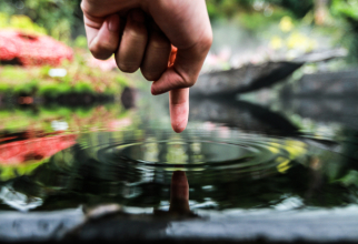 Te-ai întrebat vreodată de ce se încrețesc degetele în apă? Iată de ce BOLI poți suferi / Foto: Unsplash