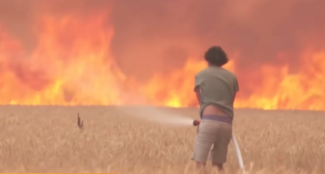 Cum a reușit un fotograf să își ferească ferma de incendiile puternice provocate de căldura din Portugalia / Foto: Captură video youtube