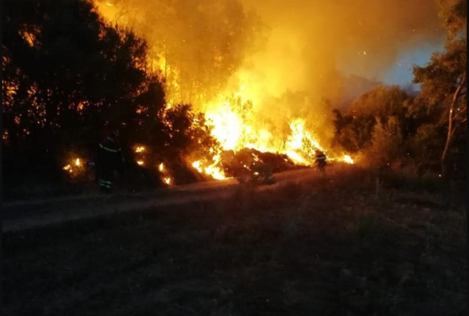 Rusia: Stare de urgenţă în regiunea Habarovsk din cauza incendiilor de pădure