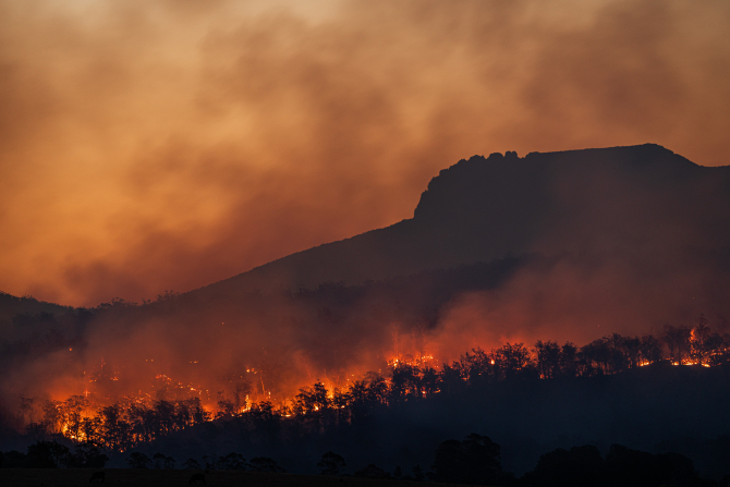 Portugalia declară stare de contingenţă, valabilă de luni până vineri. Autoritățile se luptă să aducă sub control mai multe incendii forestiere  / Foto: Unsplash