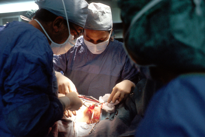 Transplantul de inimă, de la porc la om, se arată promițător, după succesul înregistrat la doi pacienți / Foto: Unsplash