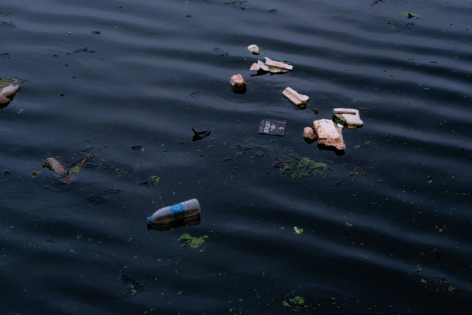 Ministrului Mediului: Poluarea din râul Oder ar putea afecta peştii din Marea Baltică  / Foto: Unsplash