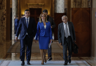 Miniștrii PSD în Guvernul României (Sursa: Inquam Photos/Octav Ganea)