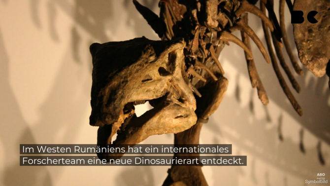 O nouă specie de dinozaur pitic a fost descoperită în Transilvania / Foto: Captură video youtube