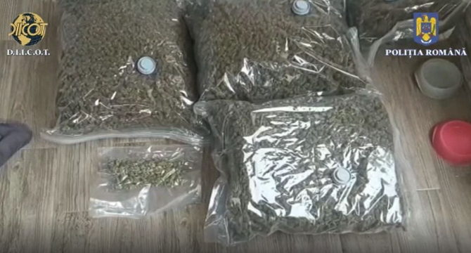 Doi români, reţinuți pentru trafic de droguri. Polițiștii au confiscat 28 kg de canabis și 500 grame de cocaină 