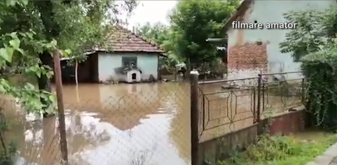 Crişul Alb a inundat aproximativ 330 de hectare de terenuri agricole din Arad, în urma ploilor abundente / Foto: Captură video youtube