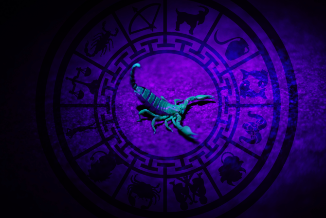 Horoscop 2 noiembrie 2022. Sezonul Scorpionilor aduce multe vești pentru zodii - Previziuni complete / Foto: Unsplash