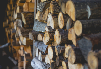 Francezii cumpără tot mai mult lemn de foc, speriați de faturile la energie și gaze