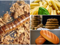 Larva gândacului de bălegar este a patra insectă aprobată ca aliment în UE. În ce alimente se poate adăuga
