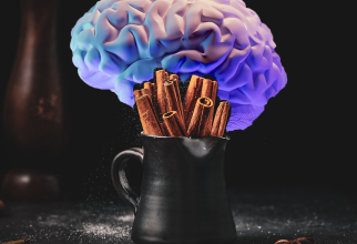 Sănătatea creierului: Scorțișoara ar putea să îmbunătățească învățarea și memoria / Foto: Unsplash