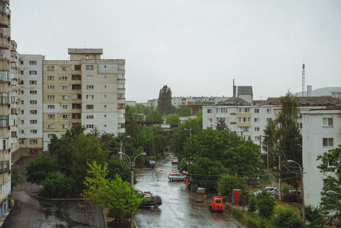 Europa are nevoie de copaci, pentru a se apăra de clima ucigașă. În Cluj, rata mortalității cauzate de căldură: 32 la 100.000 de locuitori / Foto: Unsplash