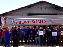 Fermierii români protestează: Vor să răstoarne o cisternă cu 6.500 de litri de lapte, disperaţi că nu mai au cui să-l vândă