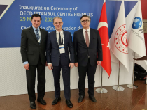 Luca Niculescu, numit în Comitetul Director al Centrului Regional OCDE de la Istanbul