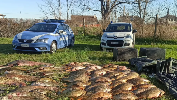 Polițiștii italieni au confiscat peste 600 de kilograme de pește