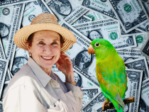 O femeie a lăsat o moștenire de 300.000 de lire papagalului său. Familia se luptă pentru bani / Foto: Unsplash